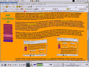 Screenshot1: so sieht es mit Mozilla aus